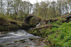 Schottland044