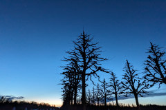 Whisky_Spring_2024-15