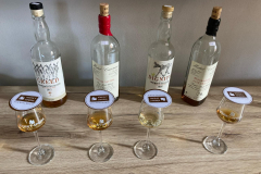 Whisky_Spring_2024-3