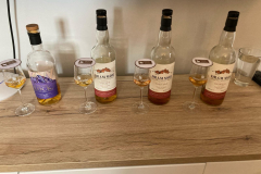 Whisky_Spring_2024-4